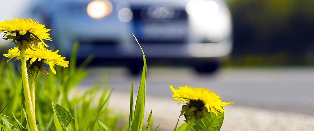 Talvi kuluttaa – tee autollesi kevättarkastus