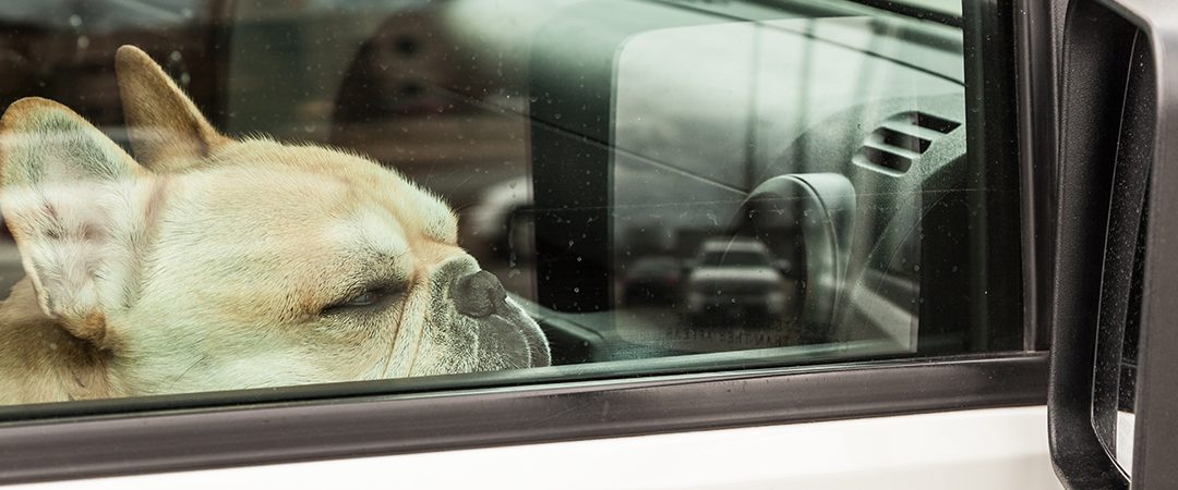 Muista, auto ylikuumenee nopeasti lämpimällä säällä